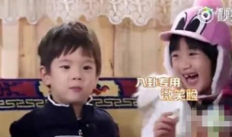 娱乐圈八卦每日吃瓜汇总,每日吃瓜汇总，明星幕后故事大公开