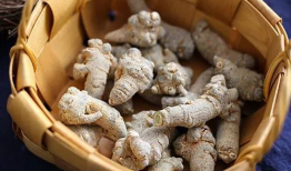 天麻豆功效与吃法,养生佳品，功效与食法全解析